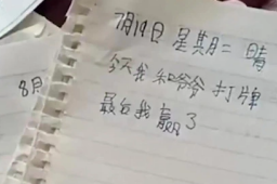 小学生开学前一天狂补40篇日记