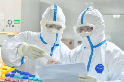 31省份昨日新增本土303+1249