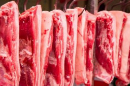 9月8日开始投放中央猪肉储备