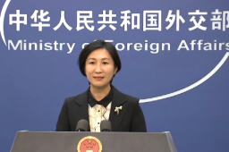 外交部新任发言人毛宁亮相