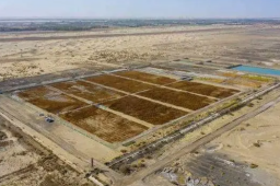 《我的县长父亲》获奖信息遭删除