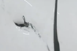 男子地下车库练摩托车撞400万宾利