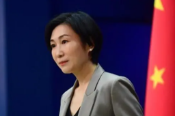 台称马斯克言论不可接受 中方回应