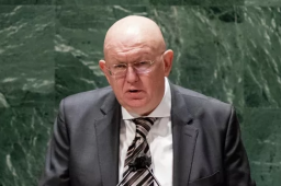 联大通过决议不承认4地公投入俄结果