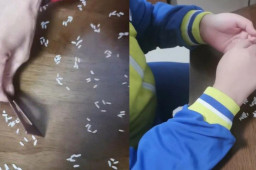 老师布置数一万粒米 全家出动帮数