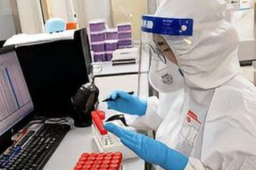 31省份新增本土249+1010