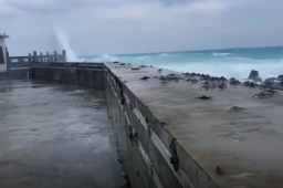 台风纳沙逼近 螃蟹被吹上码头