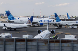 美国一航班惊现活蛇 乘客尖叫连连