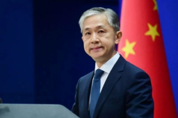 沙特希望加入金砖 中方回应