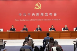 孙业礼回应是否输出中国模式