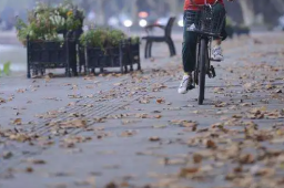 一条秋裤已经不够了！冷空气又来了