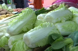 疫情期间一颗白菜近50元？西宁回应
