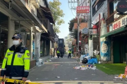 韩踩踏事故有中国公民遇难 中方表态