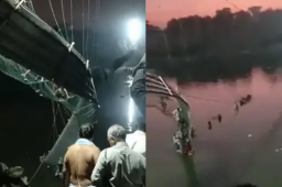 印度吊桥倒塌已致91死 落难者惊叫