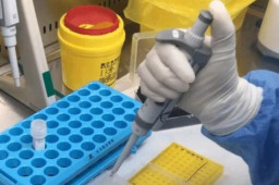 郑州卫健委：新冠肺炎是自限性疾病