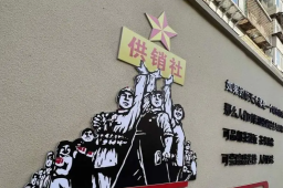 重出江湖背后：你所不知道的供销社