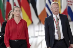 丹麦首相向女王提交辞呈 解散政府