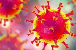 如何理解新冠肺炎是自限性疾病