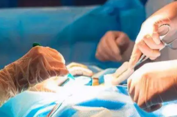 医生被封控错过患儿手术？后续来了