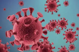 专家：新冠重症率已很低