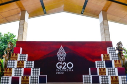 G20峰会 各方期待中国声音