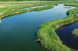 以法为盾 守护湿地