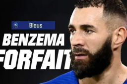 本泽马因伤退出世界杯