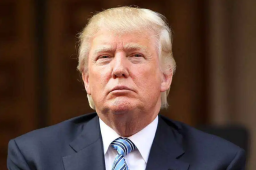 特朗普推特账号解封