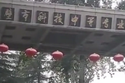 河南校园欺凌事件涉事副校长被辞退