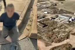 4名中国公民在美遇害 大使馆回应