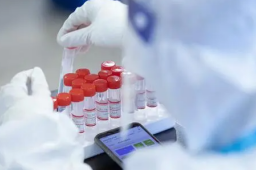 张核子和他的“核酸版图”