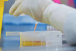 多地新政：核酸筛查不必全员参与