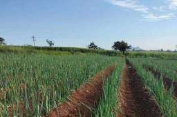 曾驰援武汉的“大葱哥”急需帮助