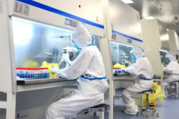 浙江：人民至上不是防疫至上