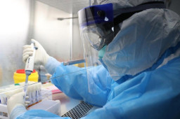 核酸“阴阳”同时出现 一公司被调查