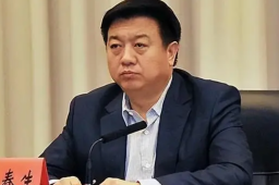 省公安厅原厅长投案 曾剿灭冰毒教父