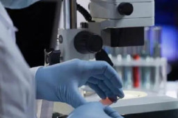 中疾控详解“地狱犬”变异毒株