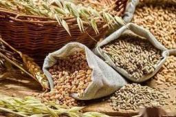 中国粮食连续8年丰产