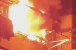 9省份本土病例中检出BQ.1及其亚分支