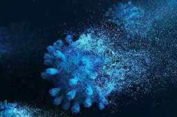 专家：南北方变异的毒株略有不同