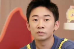 “杨迪”商标已被成功注册