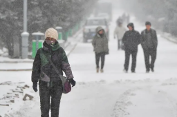 这个周末20余省份可能被冻哭