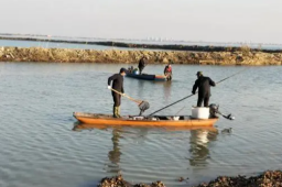 女子放生2.5万斤鲇鱼被起诉