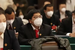 背景太假哥回应当选县政协委员