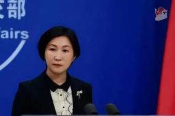 外交部：各国防疫不应歧视中国