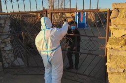 老去的农村如何度过疫情寒冬