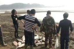 富翁回乡投资遭羁押无罪释放后病故