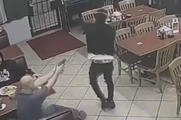 美国男子持假枪抢劫被反杀