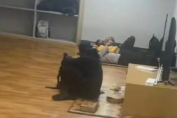 入境韩国被关小黑屋？亲历游客讲述