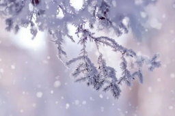 今年最大范围雨雪将波及超29个省份